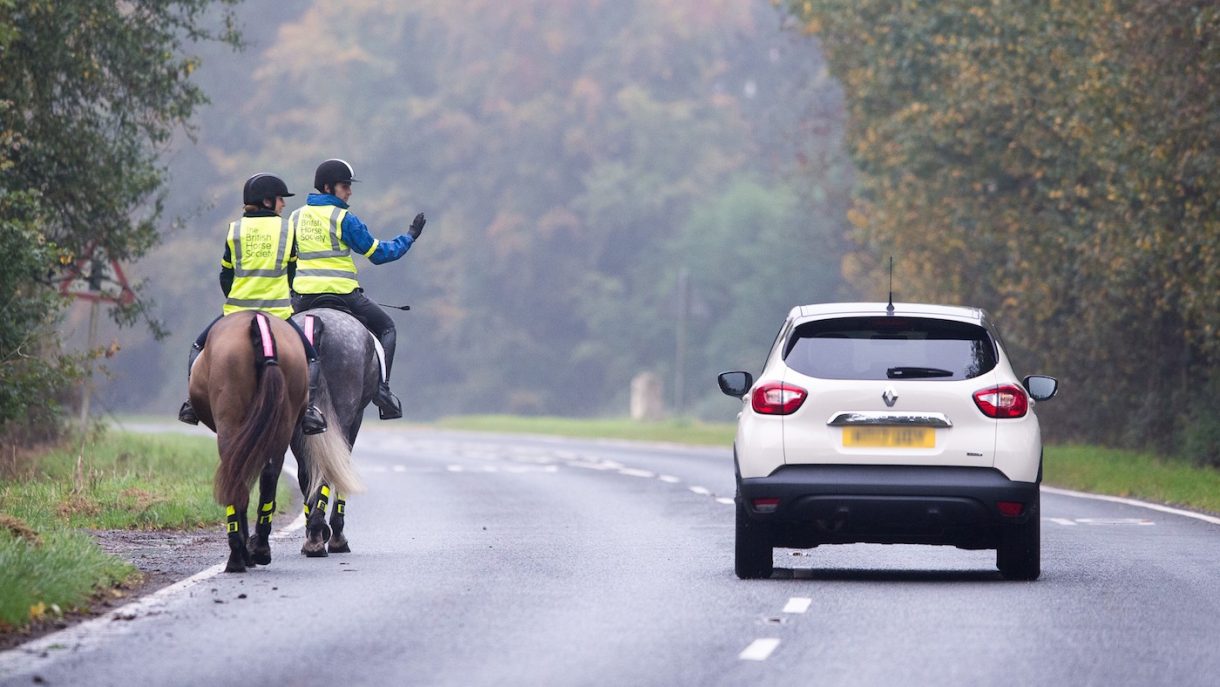 Mainstream motor insurer aims to educate drivers on passing horses