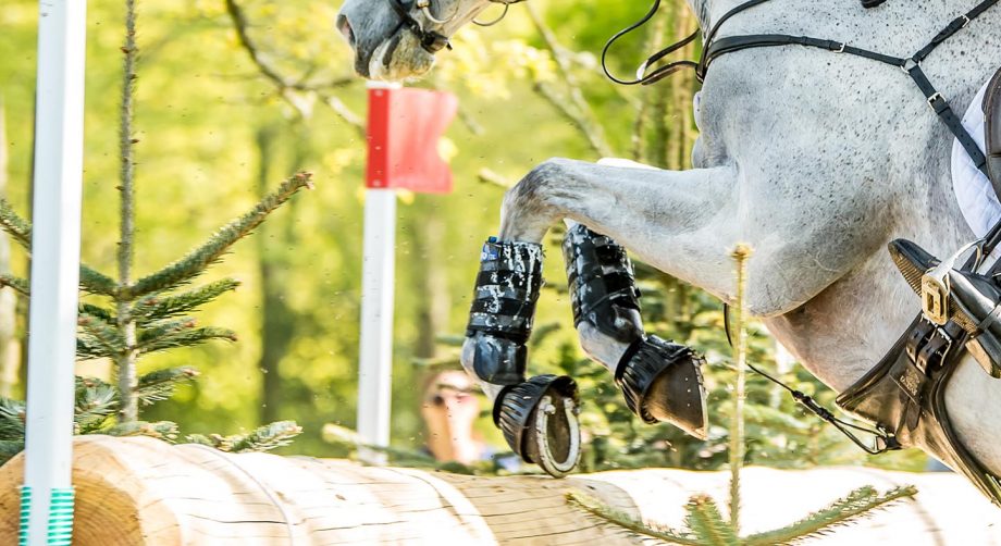 FEI frangible device flag rule changes proposed