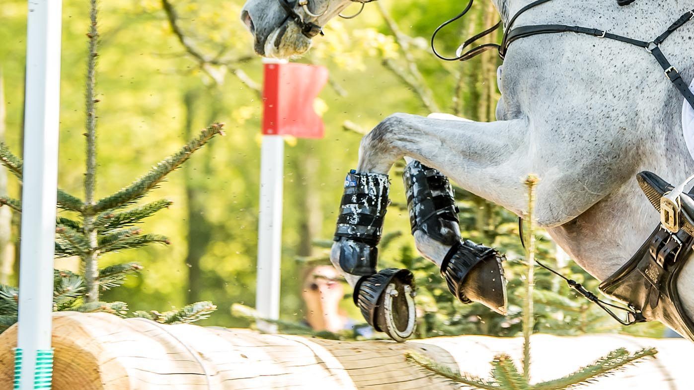 EquiRatings Horse Form Index (HFI) is hoped to be an additional tool for riders, with the aim of improving eventing safety