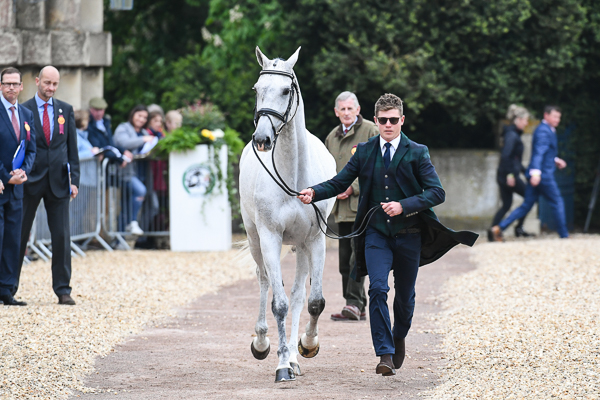 Badminton trot-up fashion
