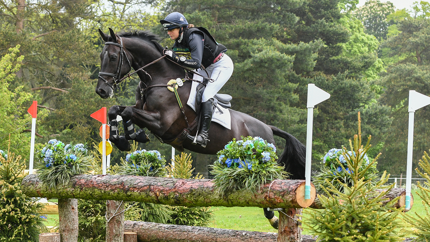 Piggy French Rockingham