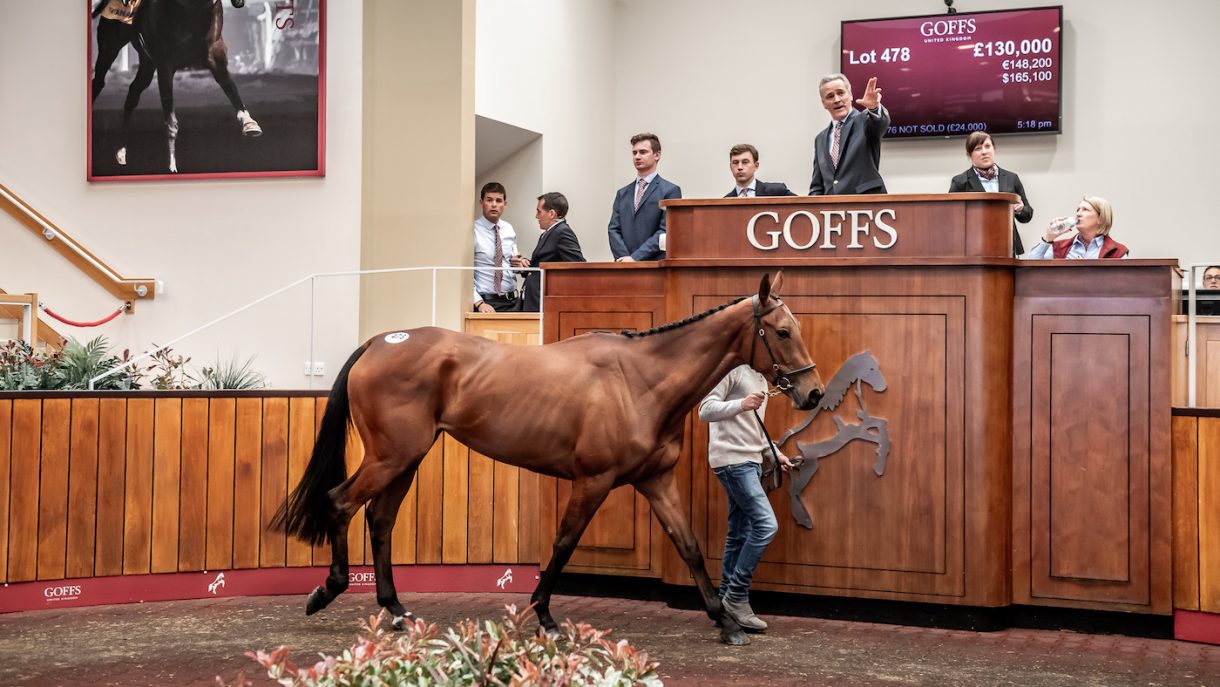 World Record Set As Five year old Sells For 620 000 Horse Hound