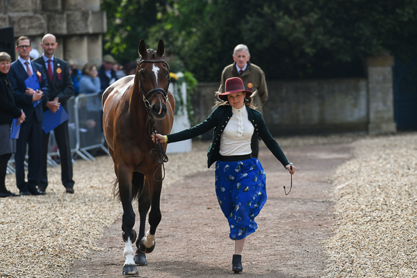 Badminton trot-up fashion