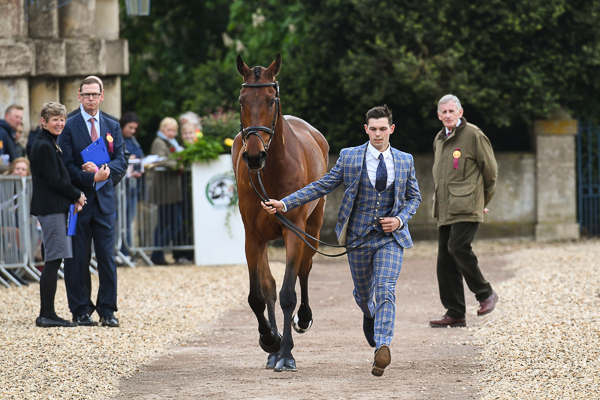 Badminton trot-up fashion