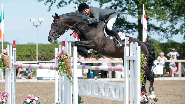 windsor showjumping entries
