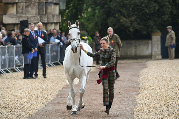 Badminton trot-up fashion
