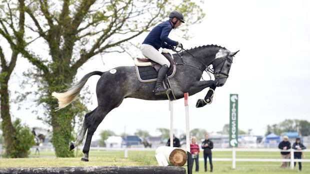 Tattersalls event horse sale 2019