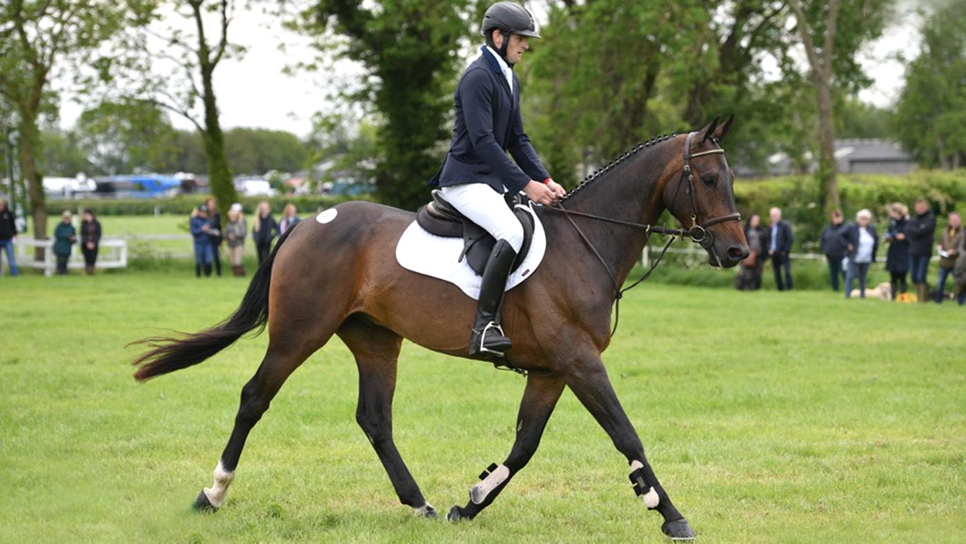 Tatteresalls event horse sale 2019