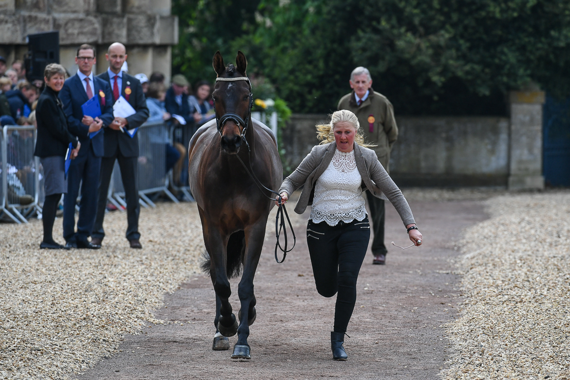 Badminton trot-up 2019