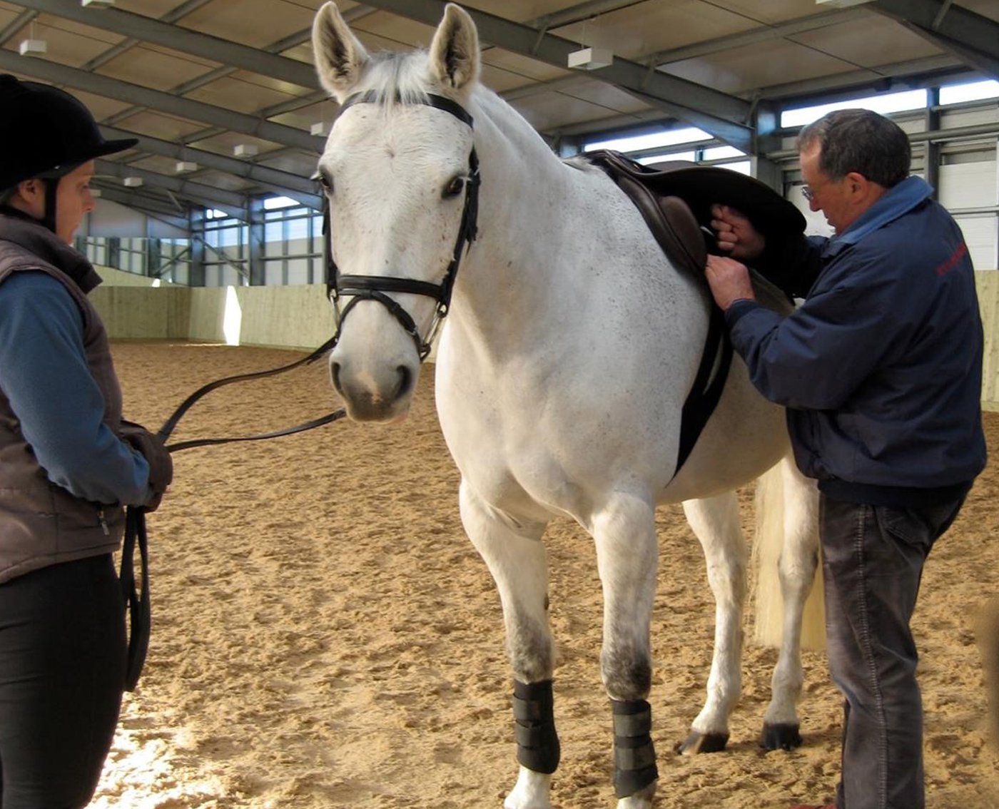 Saddle-fitting-advice-1