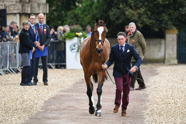 Badminton trot-up fashion