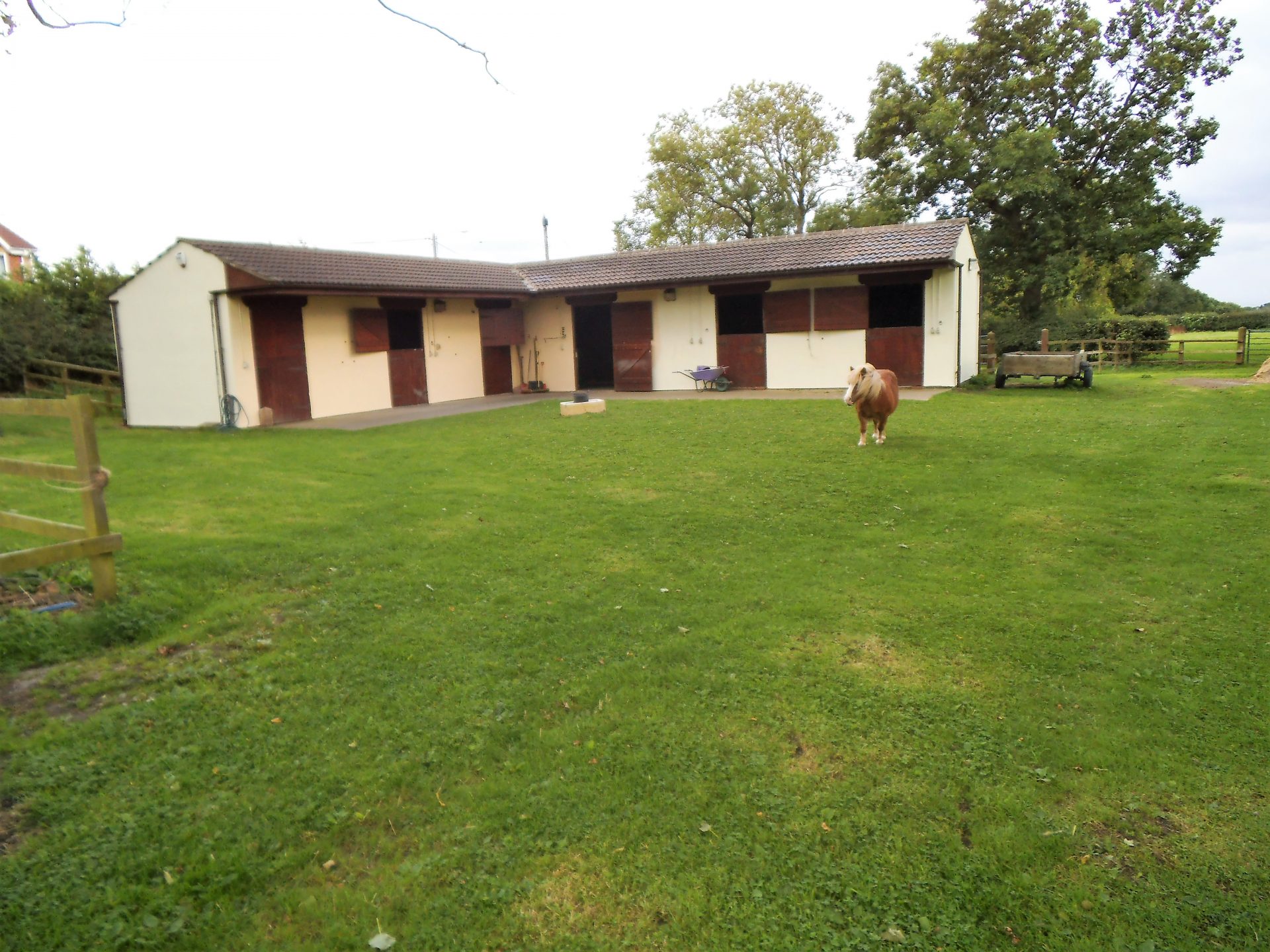 A real steal? Four bedrooms with a stable yard and paddocks for under