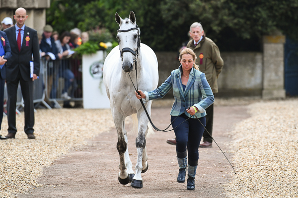 Badminton trot-up fashion