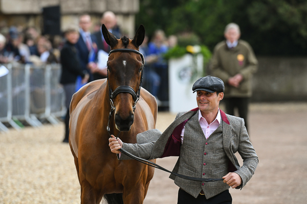 Badminton trot-up fashion