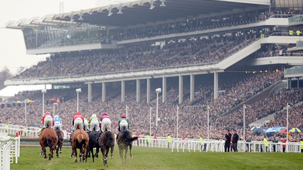 Cheltenham Festival history