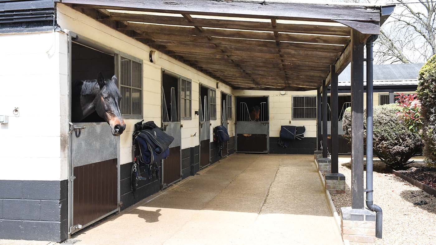 Joseph Stockdale feature 07.05.19