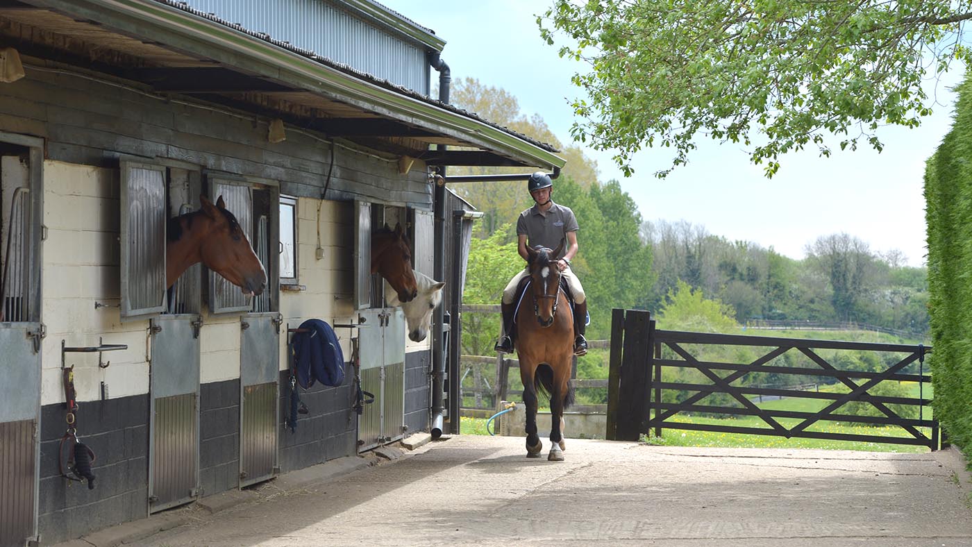 Joseph Stockdale feature 07.05.19 Jo Stockdale on Don Diego De Plata