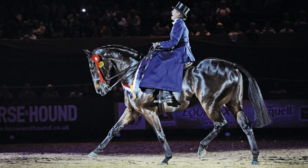 Champion Horse of the year, Class 50. Horse No 398 dunbeacon, ridden by katie jerram