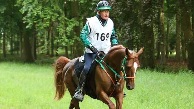 Kings Forest Endurance