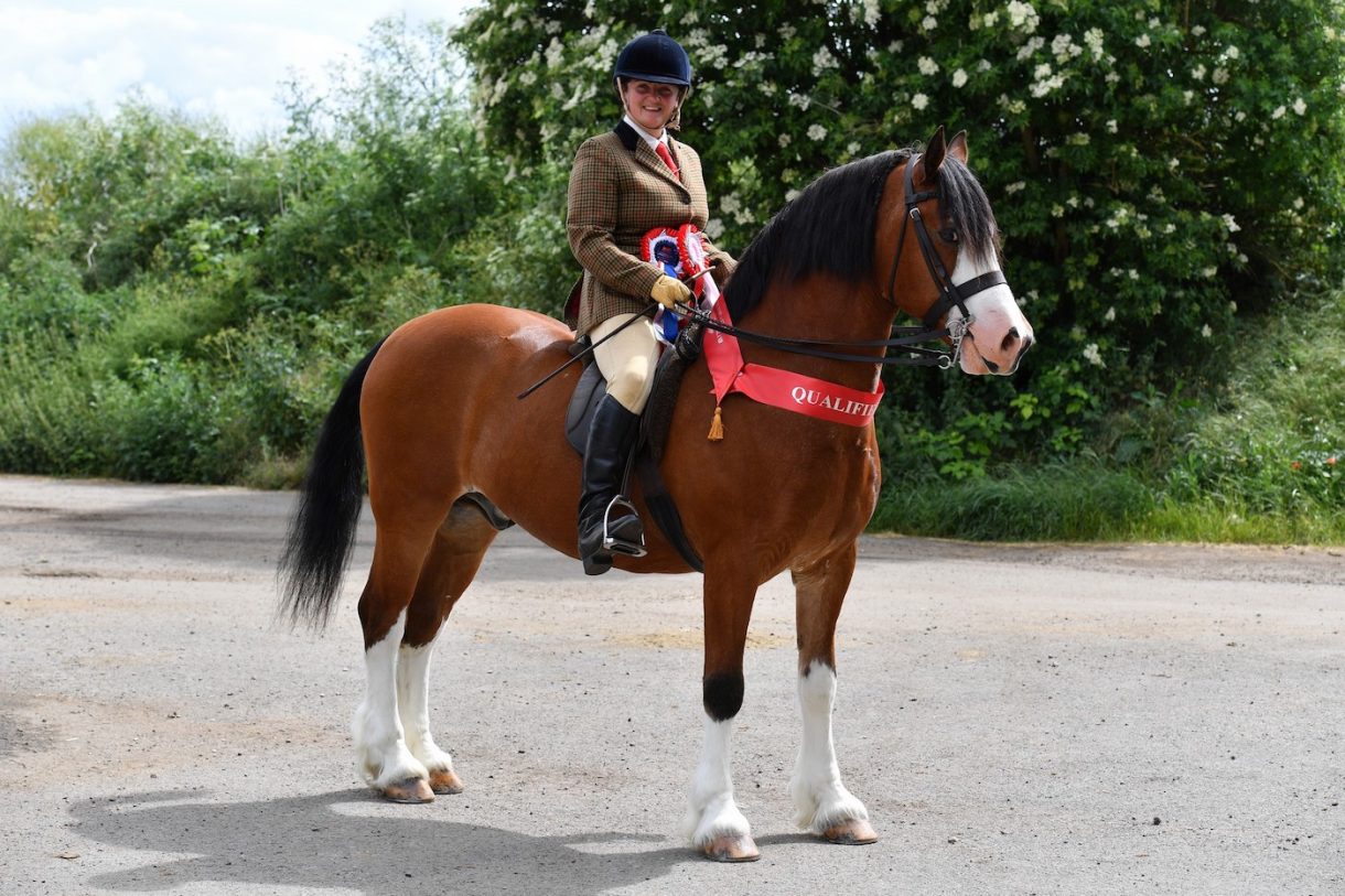 Pony shot in the head qualifies for showing final with bullets still