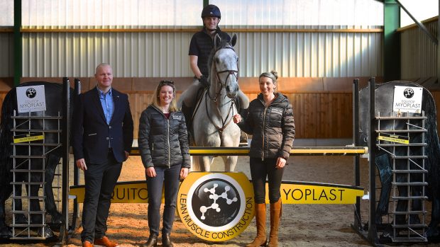 Bolesworth Young Horse Championship