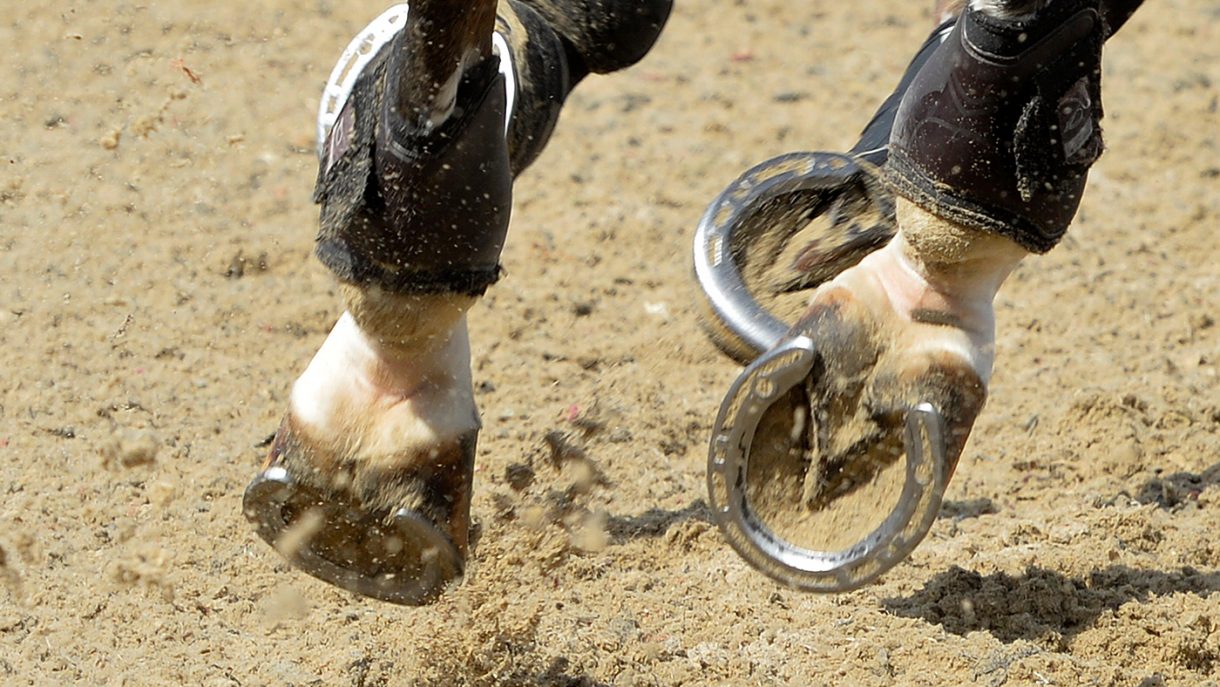 Maintaining frog health in horses’ hooves *H&H VIP* Horse & Hound