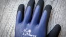 My LeMieux winter work gloves review