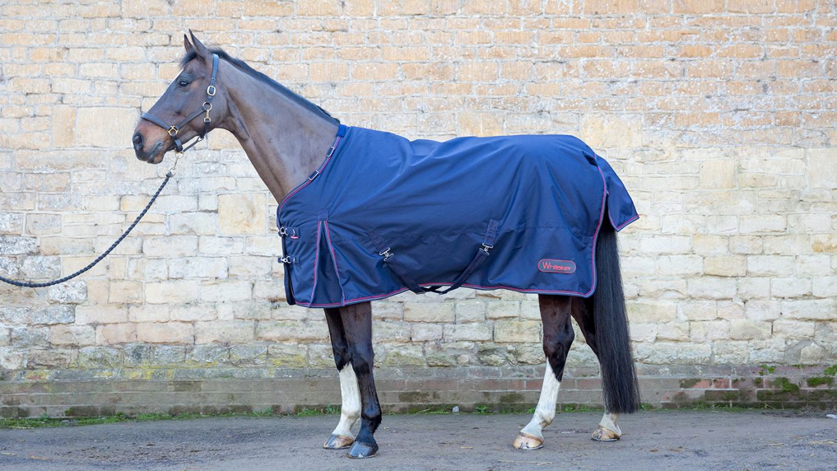 R462 John Whitaker Rastrick V2 Airflow – Tappeto Per Cavalli Con Collo Fisso, Tessuto Misto Impermeabile E Traspirante