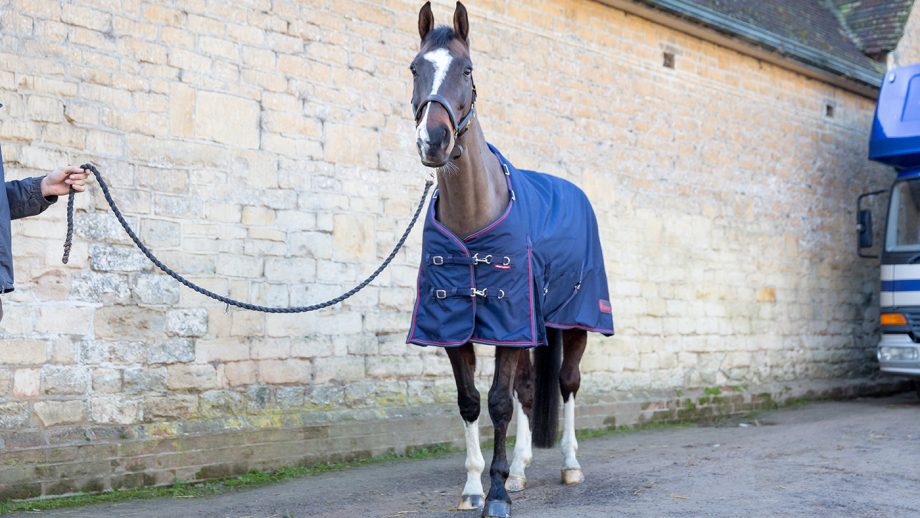 John Whitaker Rastrick reflective turnout combo review