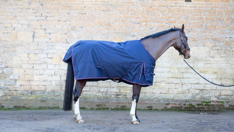 John Whitaker Rastrick reflective turnout combo review