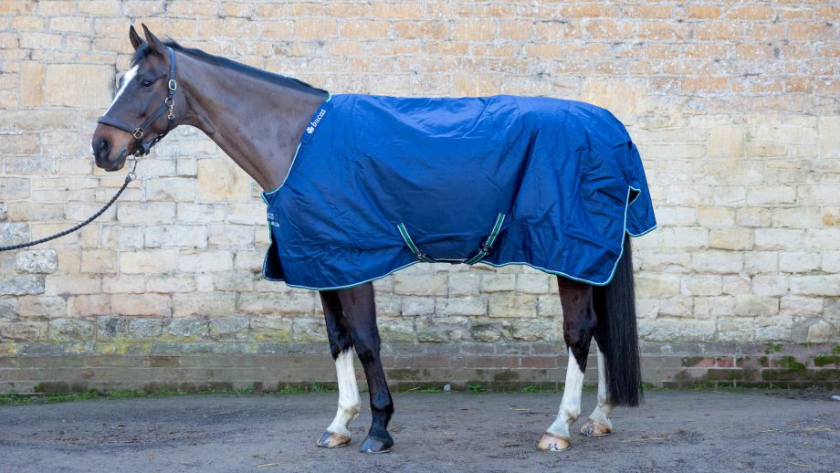 Bucas Smartex medium turnout review