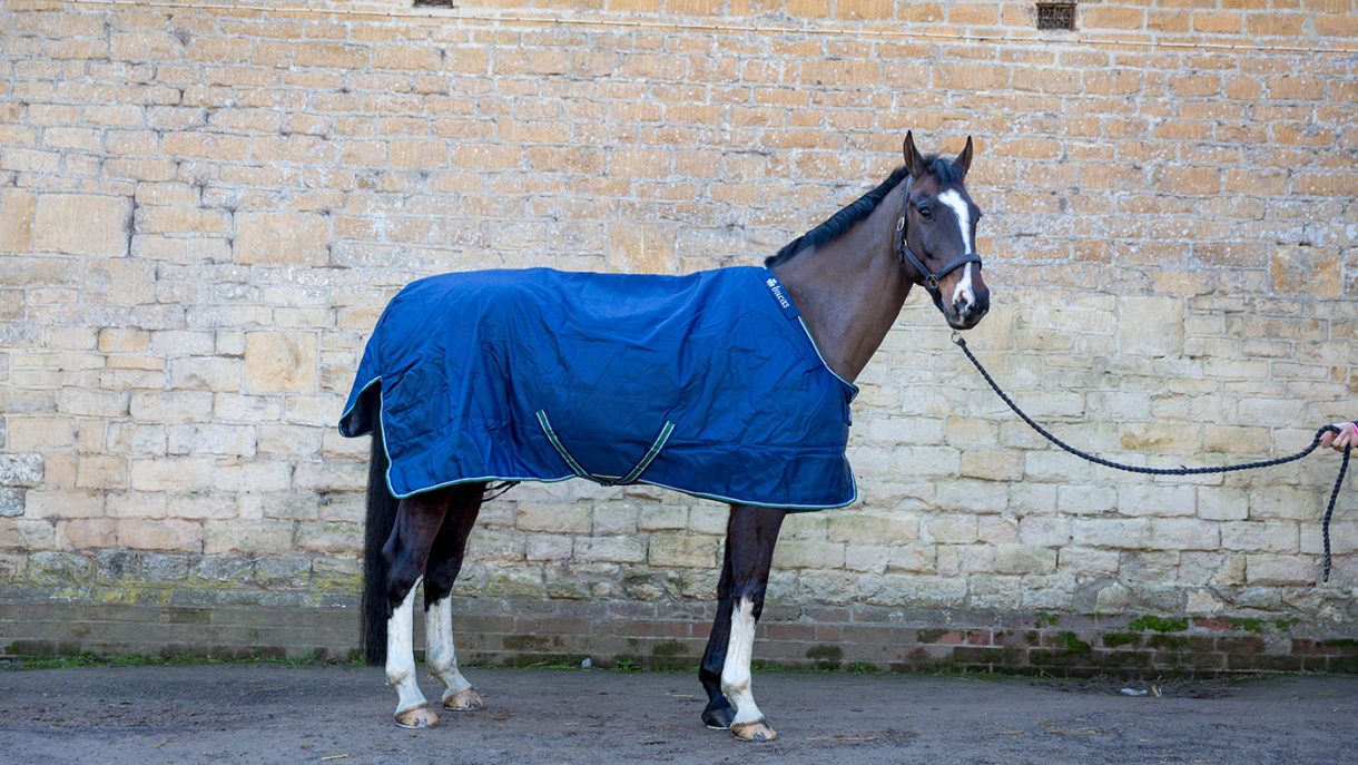 Bucas Smartex Big Neck Medium Turnout Rug main image 1