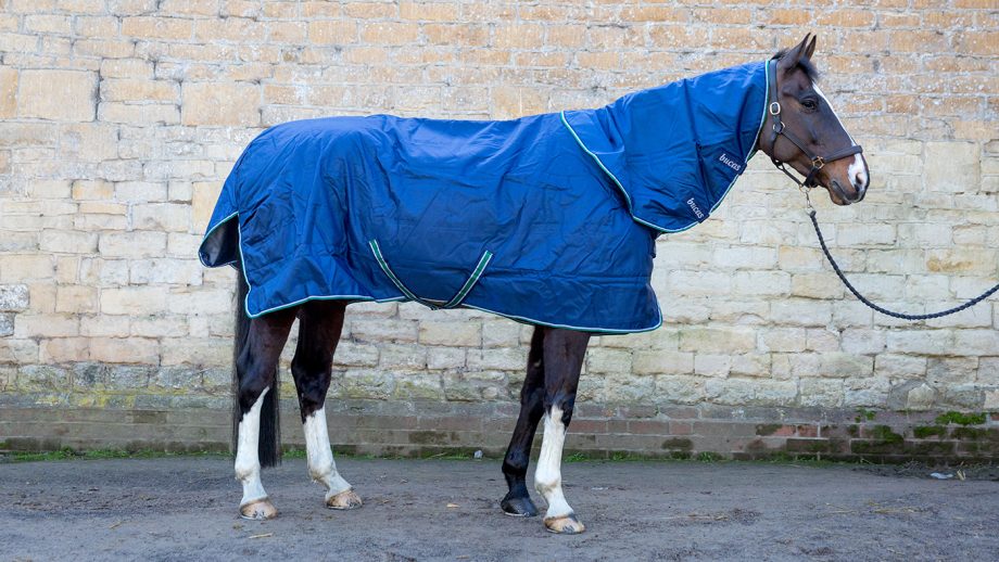 Bucas Smartex medium turnout review