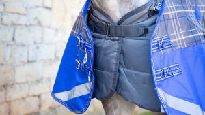 Weatherbeeta ComFiTec Premier Trio Detach-A-Neck medium turnout review