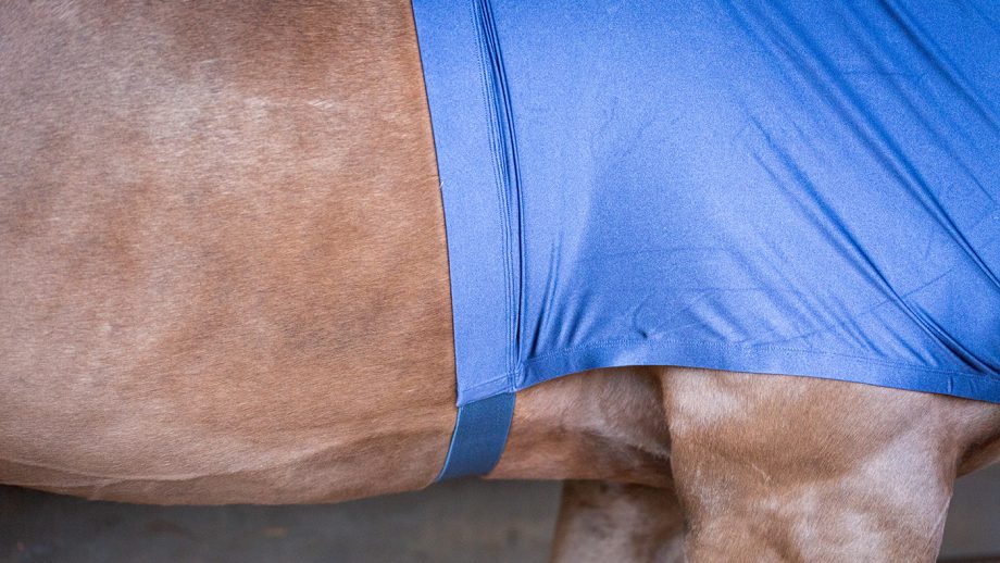 Weatherbeeta Stretch shoulder guard review