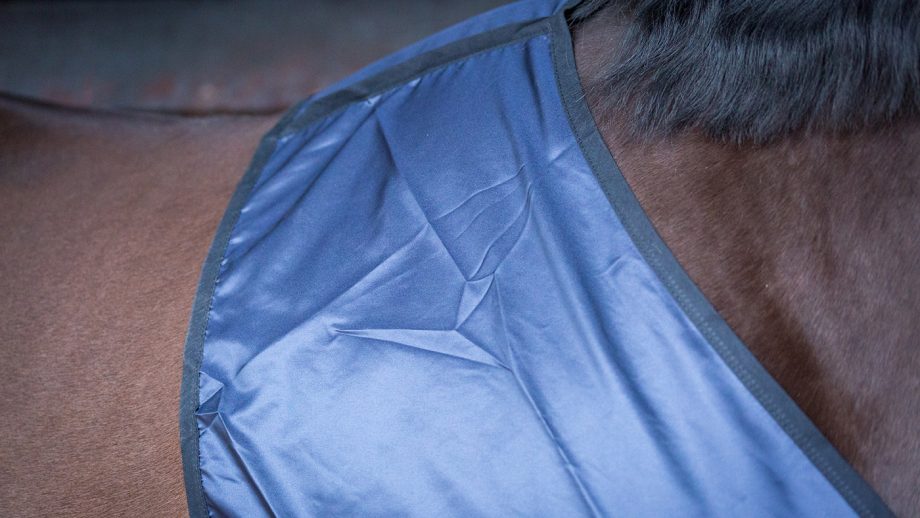 Bossy’s Bib review