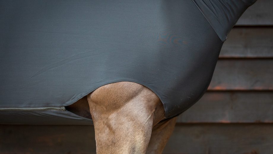 Horseware Rambo Full-body Slinky