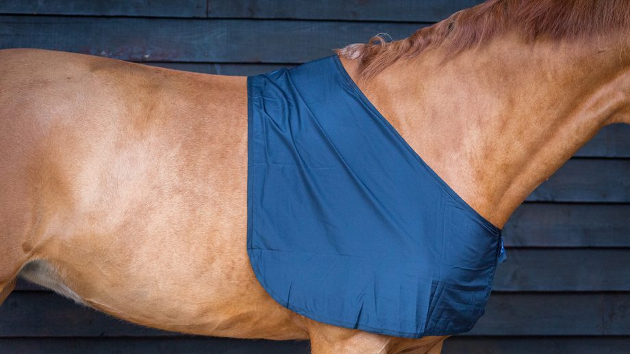 Snuggy Hoods shoulder guard review