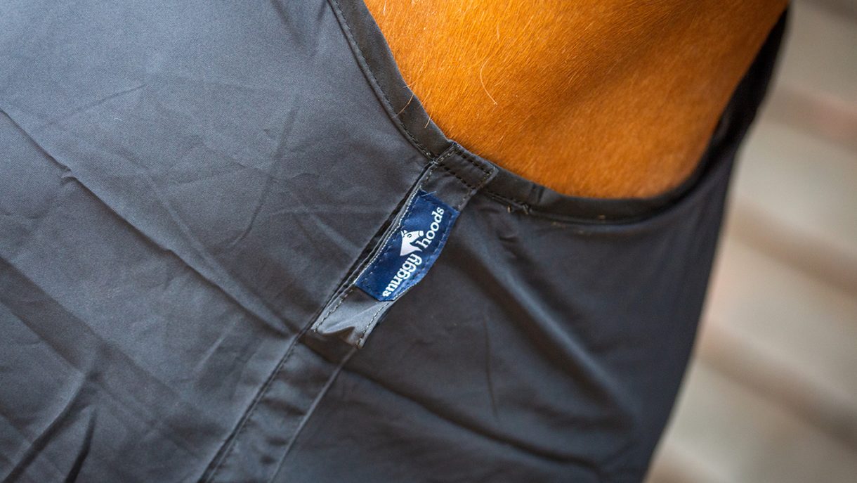 Best antirub vests for horses to prevent rubbing Horse & Hound