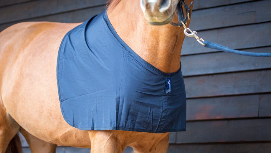 Snuggy Hoods shoulder guard review