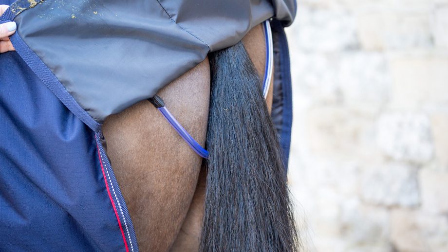 John Whitaker Rastrick reflective turnout combo review