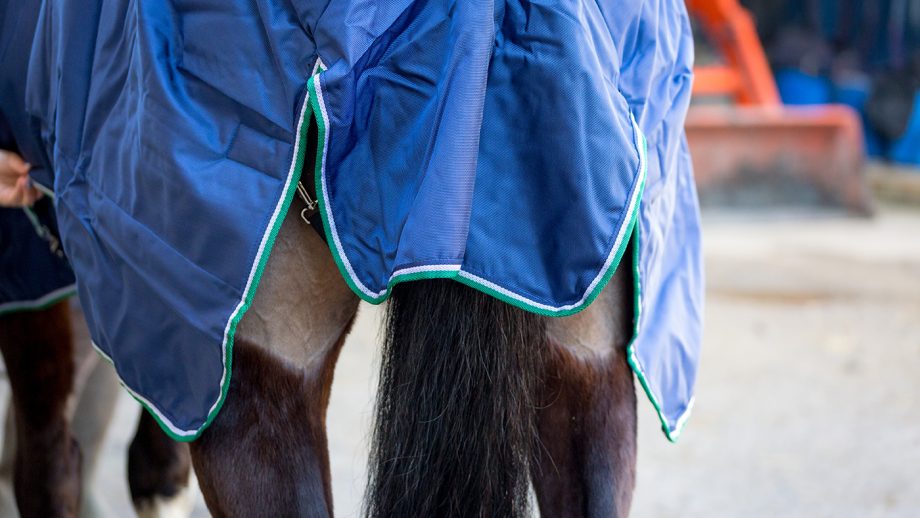 Bucas Smartex medium turnout review