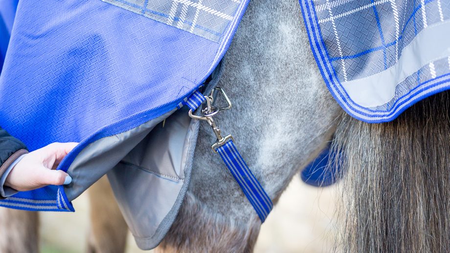 Weatherbeeta ComFiTec Premier Trio Detach-A-Neck medium turnout review