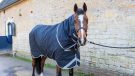 Horseware Rambo Supreme with Vari-Layer review