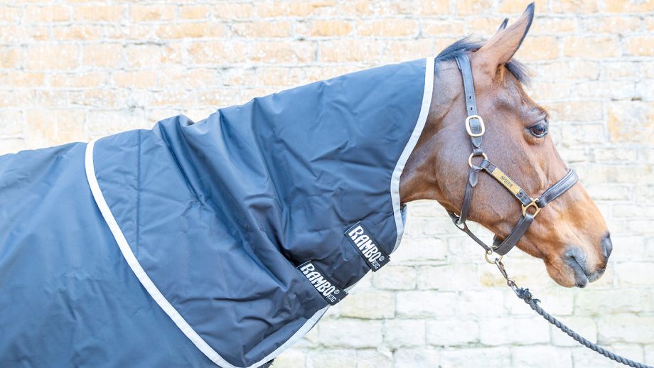 Horseware Rambo Supreme with Vari-Layer review