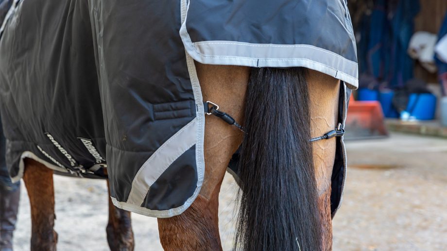 Horseware Rambo Supreme with Vari-Layer review
