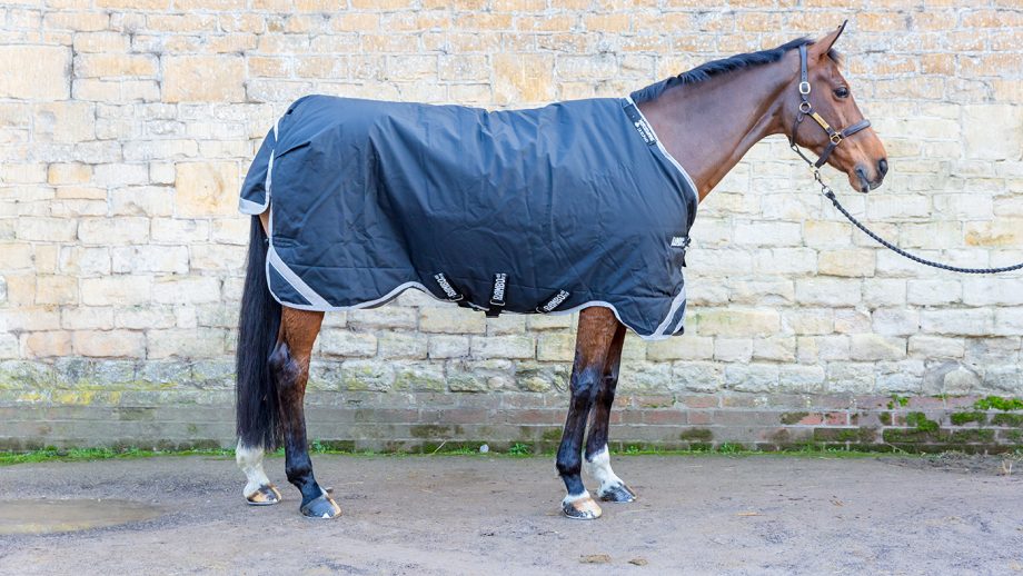 Horseware Rambo Supreme with Vari-Layer review