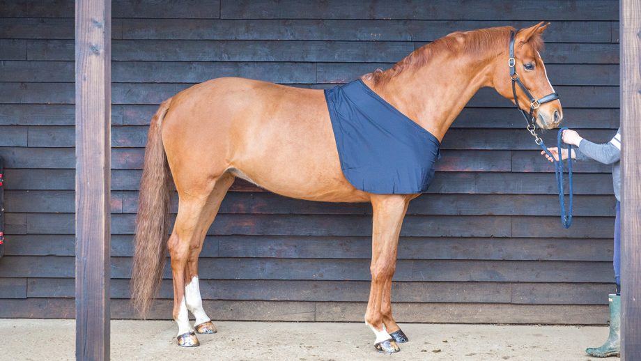 Snuggy Hoods shoulder guard review