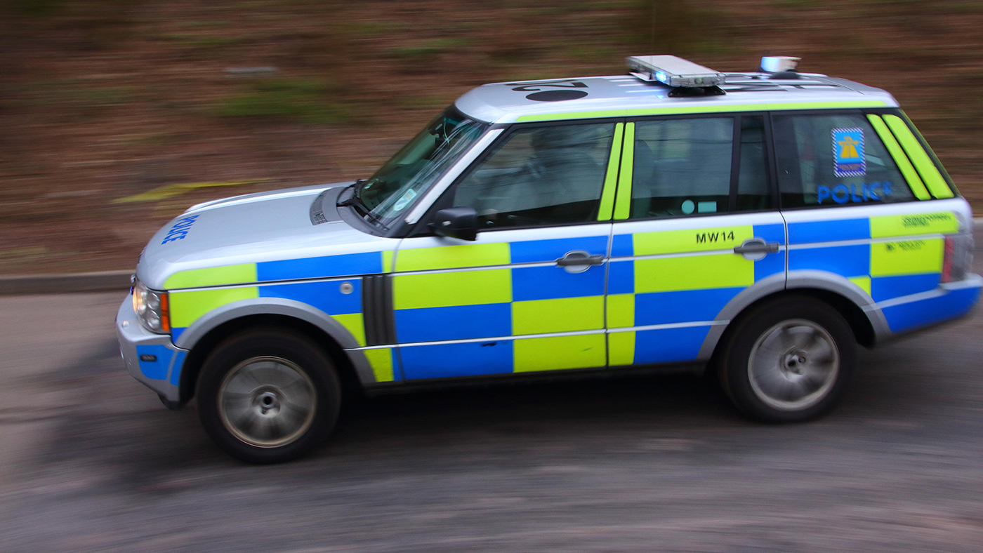 Police horse recuperating from damage in collision with automobile