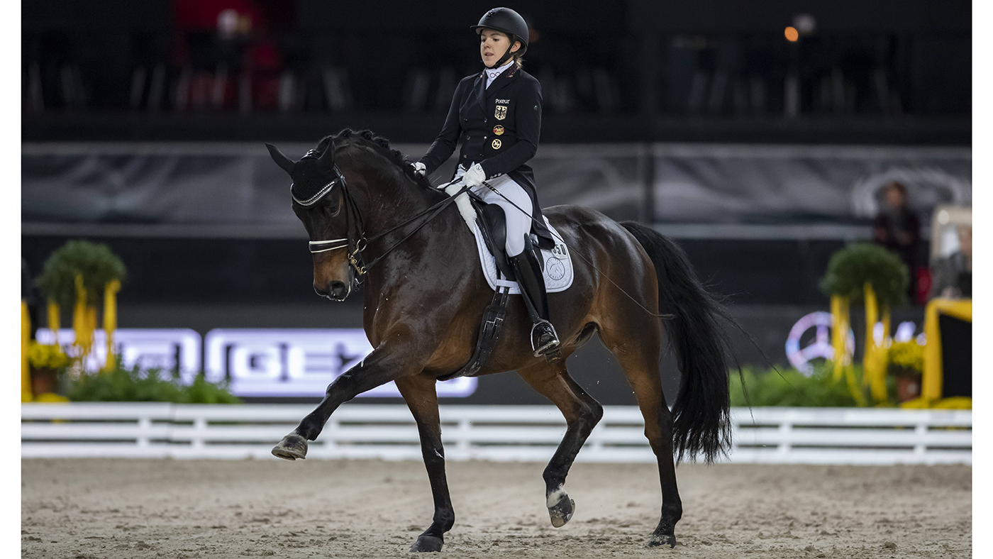 Stuttgart - German Masters 2018, ABBELEN Anna-Christina (GER), Henny Hennessy Stuttgart - German Masters 2018 Grand Prix de Dressage Piff Fˆrderpreis Finalpr¸fung 16. November 2018 ¬© - *** Stuttgart German Masters 2018 ABBELEN Anna Christina GER Henny Hennessy Stuttgart German Masters 2018 Grand Prix de Dressage Piff Promotion Prize Final Examination 16 November 2018 ¬©.